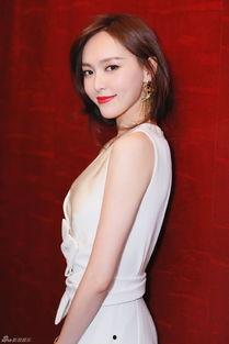 刘晶爆料录音视频大全,揭秘事件背后真相